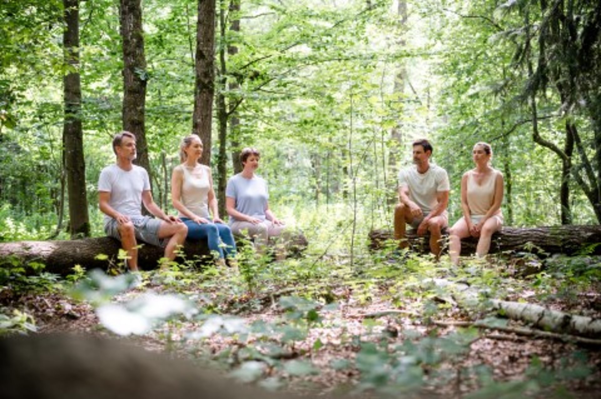 Gruppe sitzt im Wald